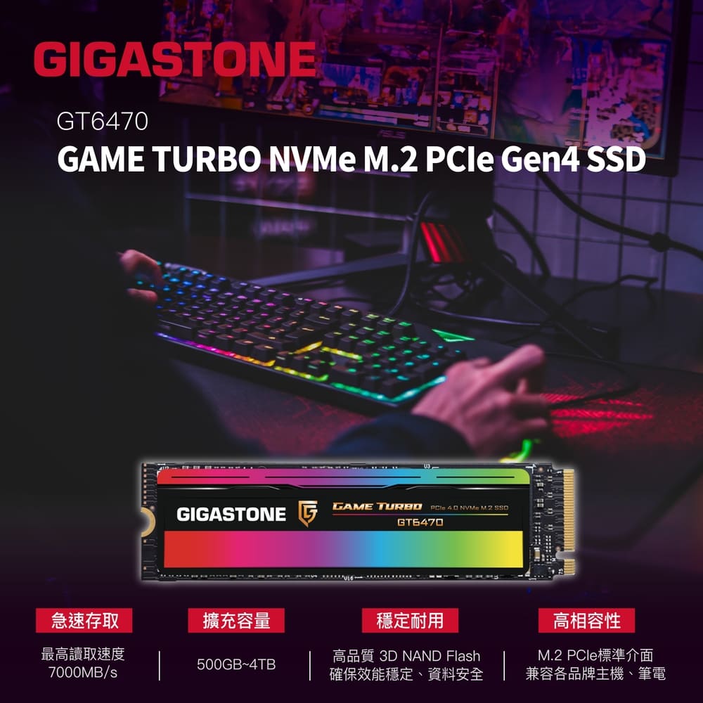 Gigastone 立達國際 GT6470 1TB PCIe