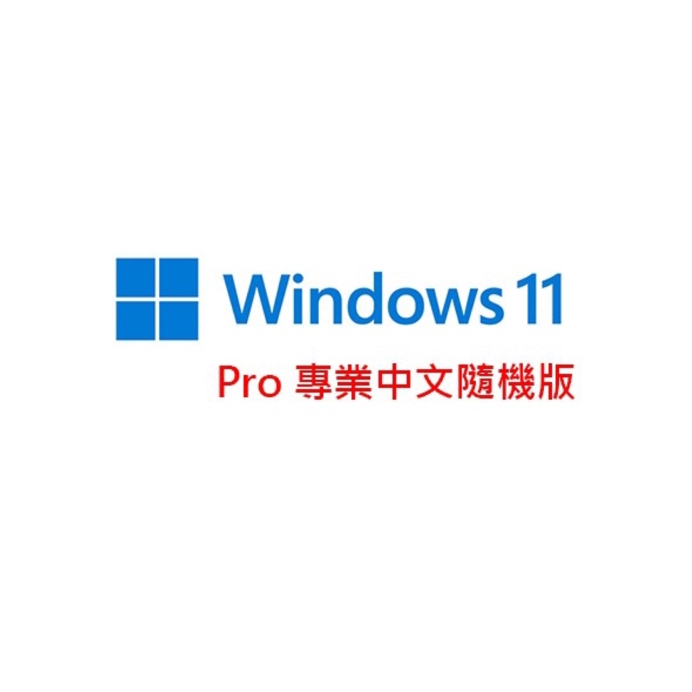 加購品含安裝 Windows 11 PRO 中文專業隨機版-