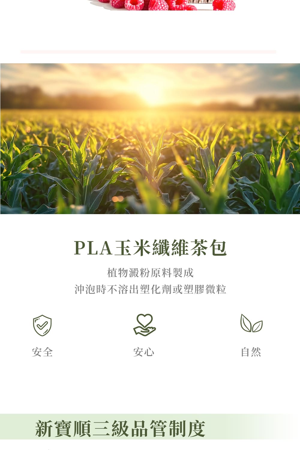 沖泡時不溶出塑化劑或塑膠微粒