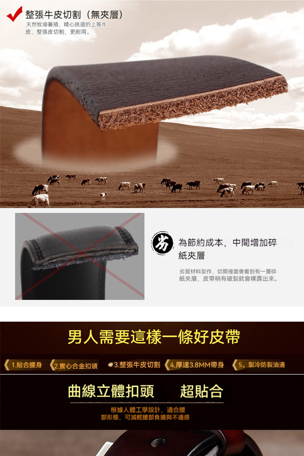 3.æ´å¼µçç®åå²4.åé3.8MMå¸¶èº«