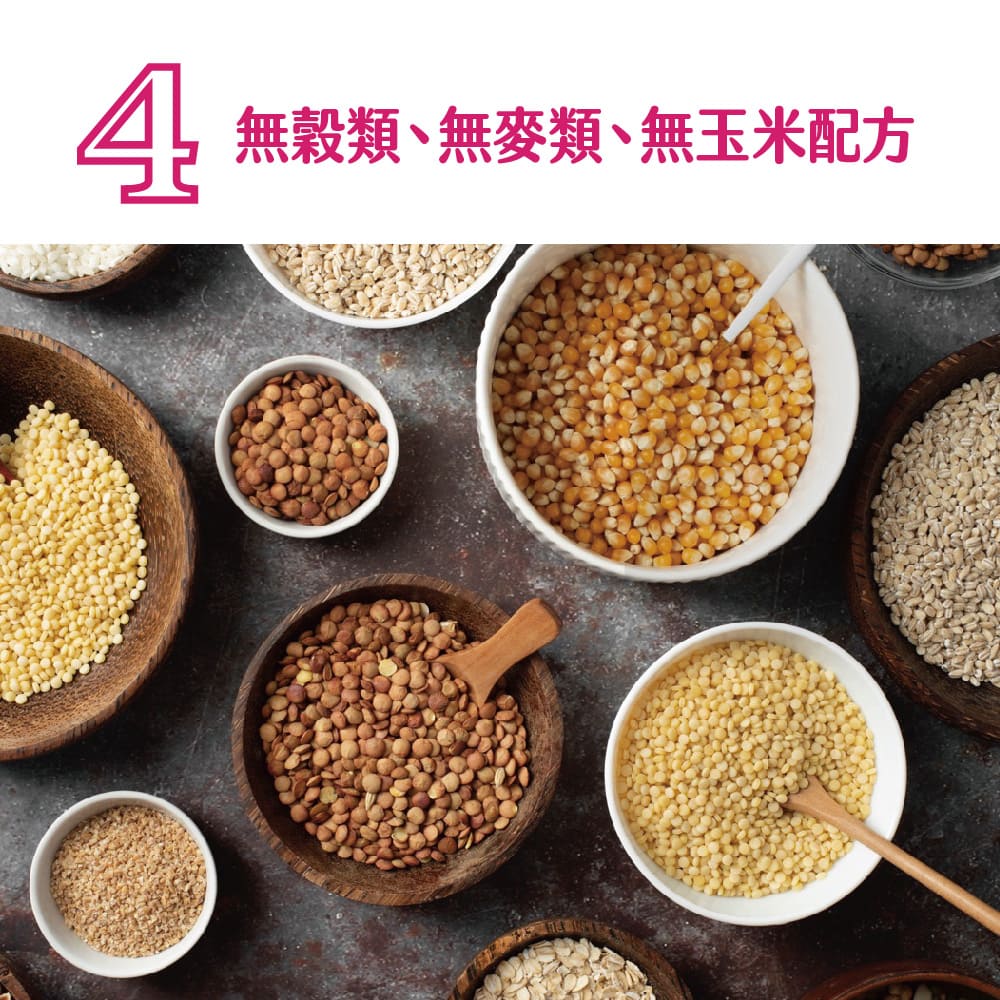 Q 無穀類、無麥類、無玉米配方 