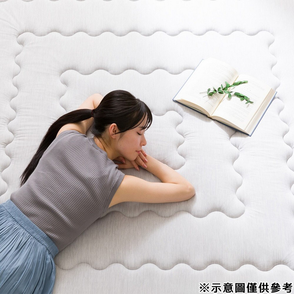 NITORI 宜得利家居 進階涼感 地毯 N COOL SP