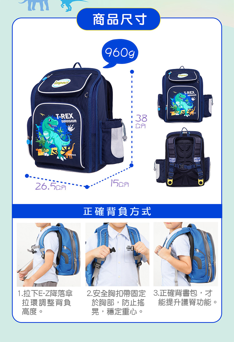 2. 安全胸扣帶固定