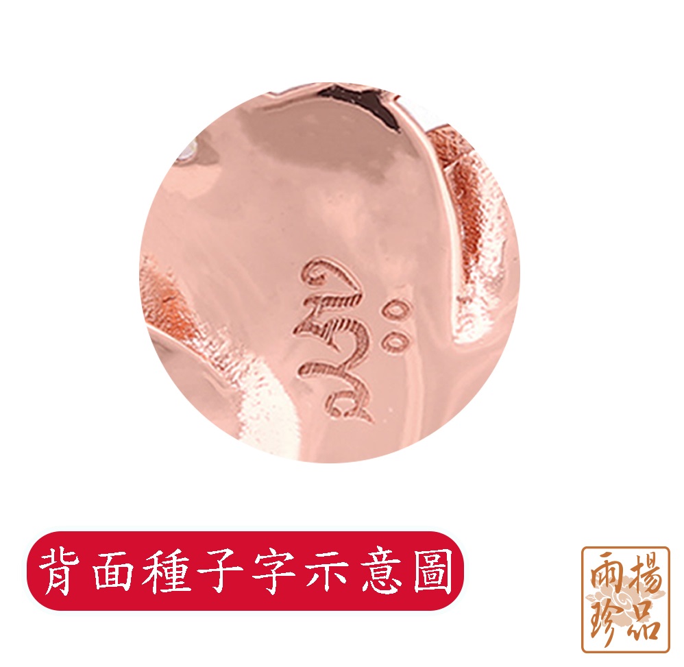 背面種子字示意圖 兩楊 