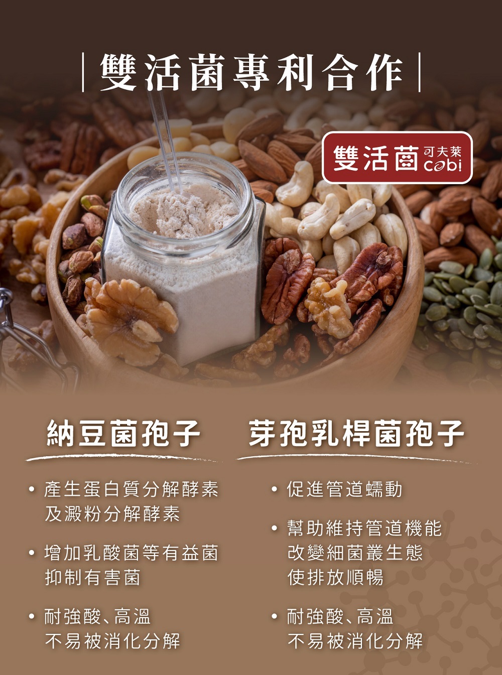 產生蛋白質分解酵素