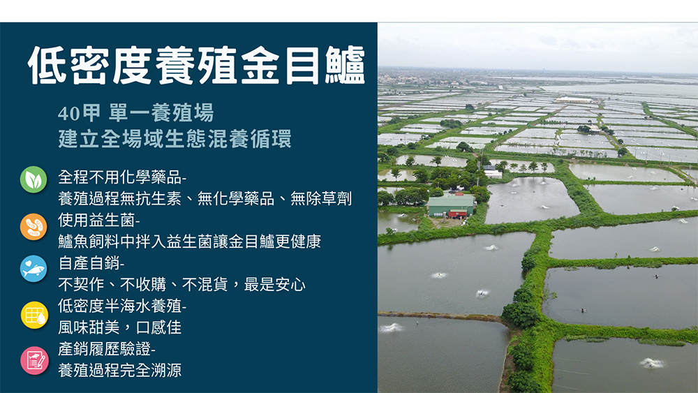 超值組 邱家兄弟金目鱸魚精1盒+海浬寶漢方沖泡式虱目魚精1盒