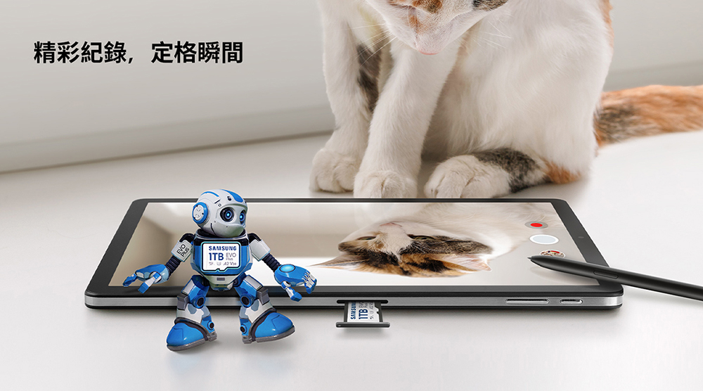 二入組 SAMSUNG 三星 EVO Plus microS 二入組 SAMSUNG 三星 EVO Plus microS