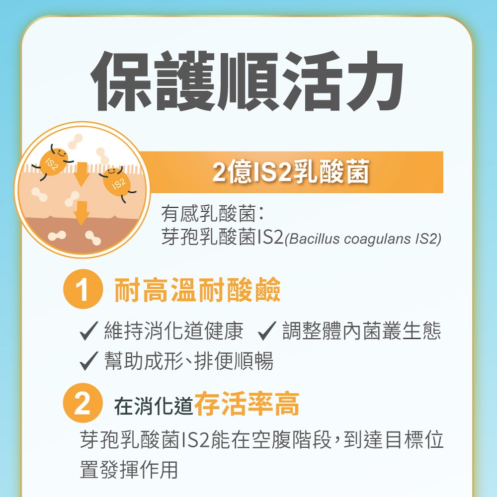 芽孢乳酸菌IS2Bacillus coagulans IS2