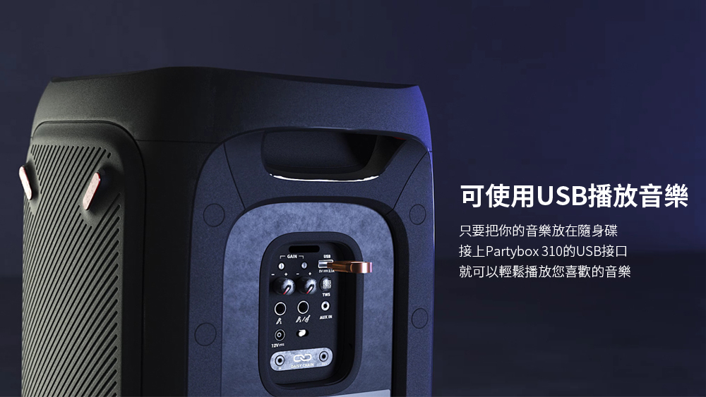 可使用USB播放音樂 只要把你的音樂放在隨身碟 接上Partybox 310的USB接口 就可以輕鬆播放您喜歡的音樂 