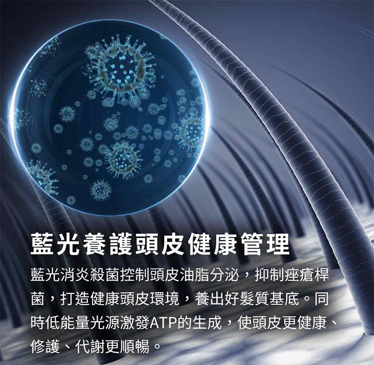 èåé¤è­·é ­ç®å¥åº·ç®¡ç èåæ¶çæ®ºèæ§å¶é ­ç®æ²¹èåæ³,æå¶ç¤ç¡æ¡¿ è,æé å¥åº·é ­ç®ç°å¢,é¤åºå¥½é«®è³ªåºåºãå æä½è½éåæºæ¿ç¼ATPççæ,ä½¿é ­ç®æ´å¥åº· ä¿®è­·ãä»£è¬æ´é æ¢ã 
