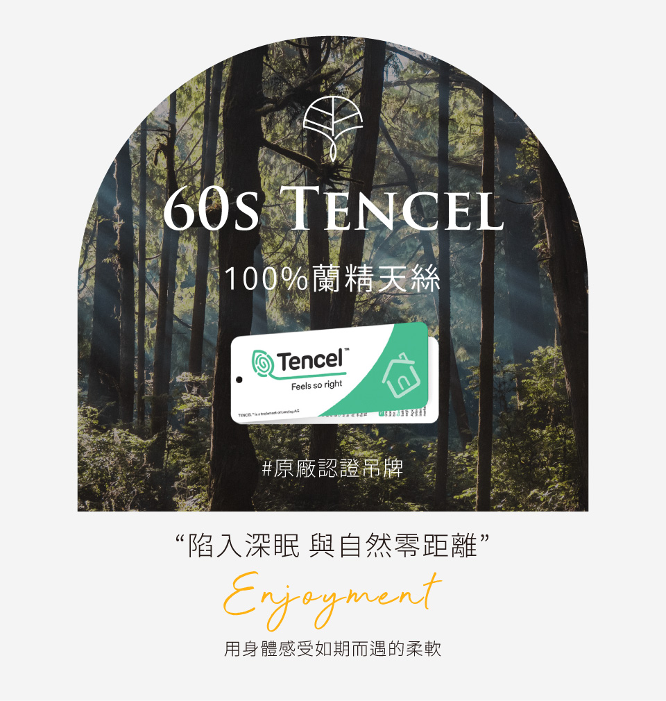 FOCA 60支100%純天絲素色壓框薄被套床包枕套組-品味