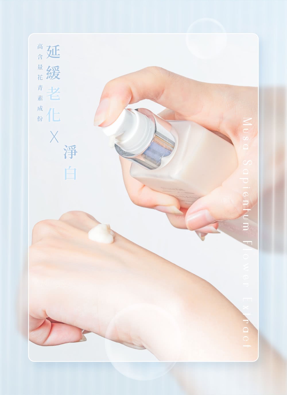 延緩老化 高含量花青素成份 