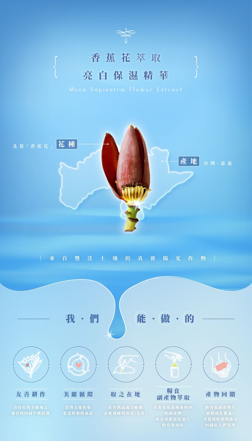 來自豐沃土壤的 真實陽光作物
