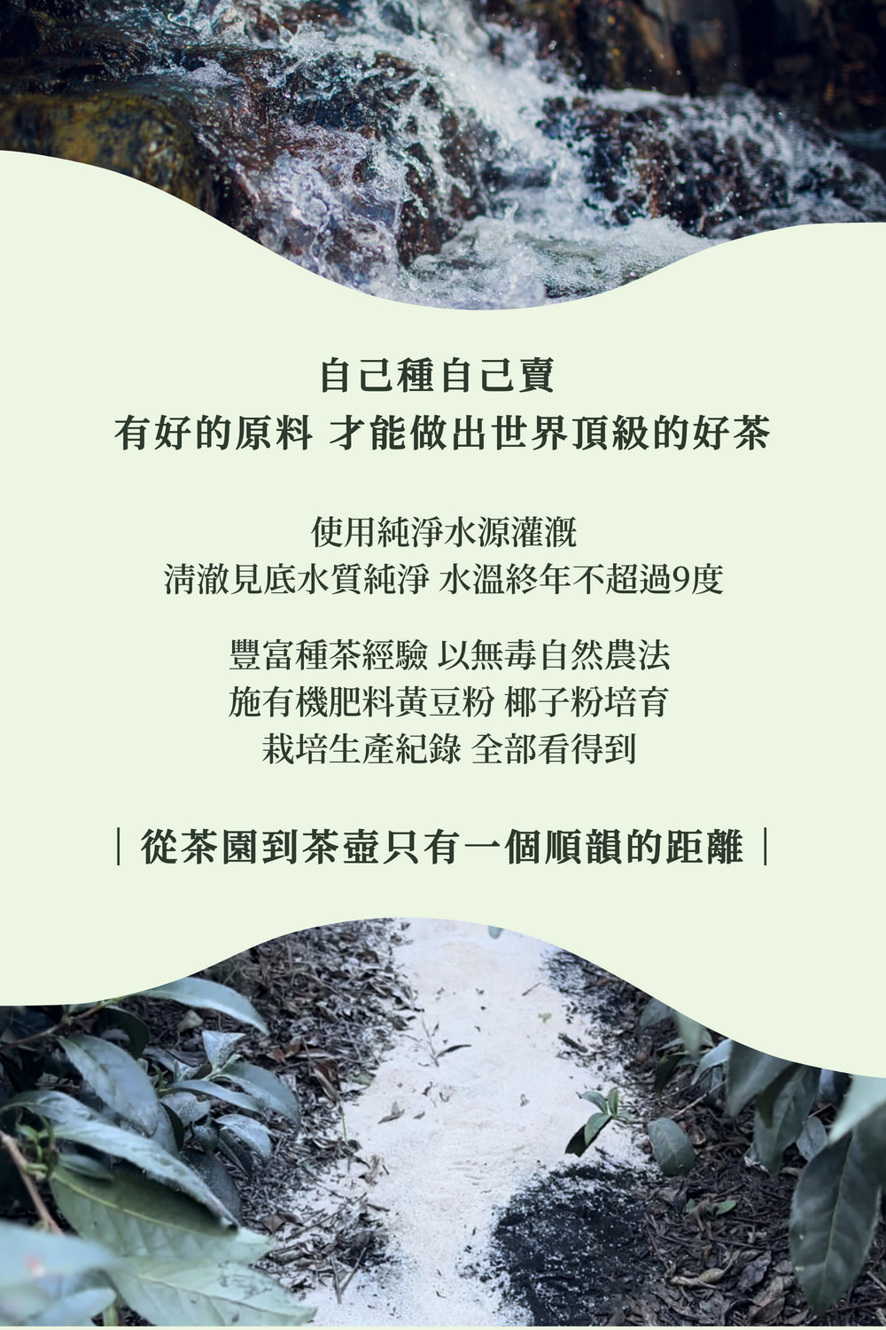 清澈見底水質純淨 水溫終年不超過9度