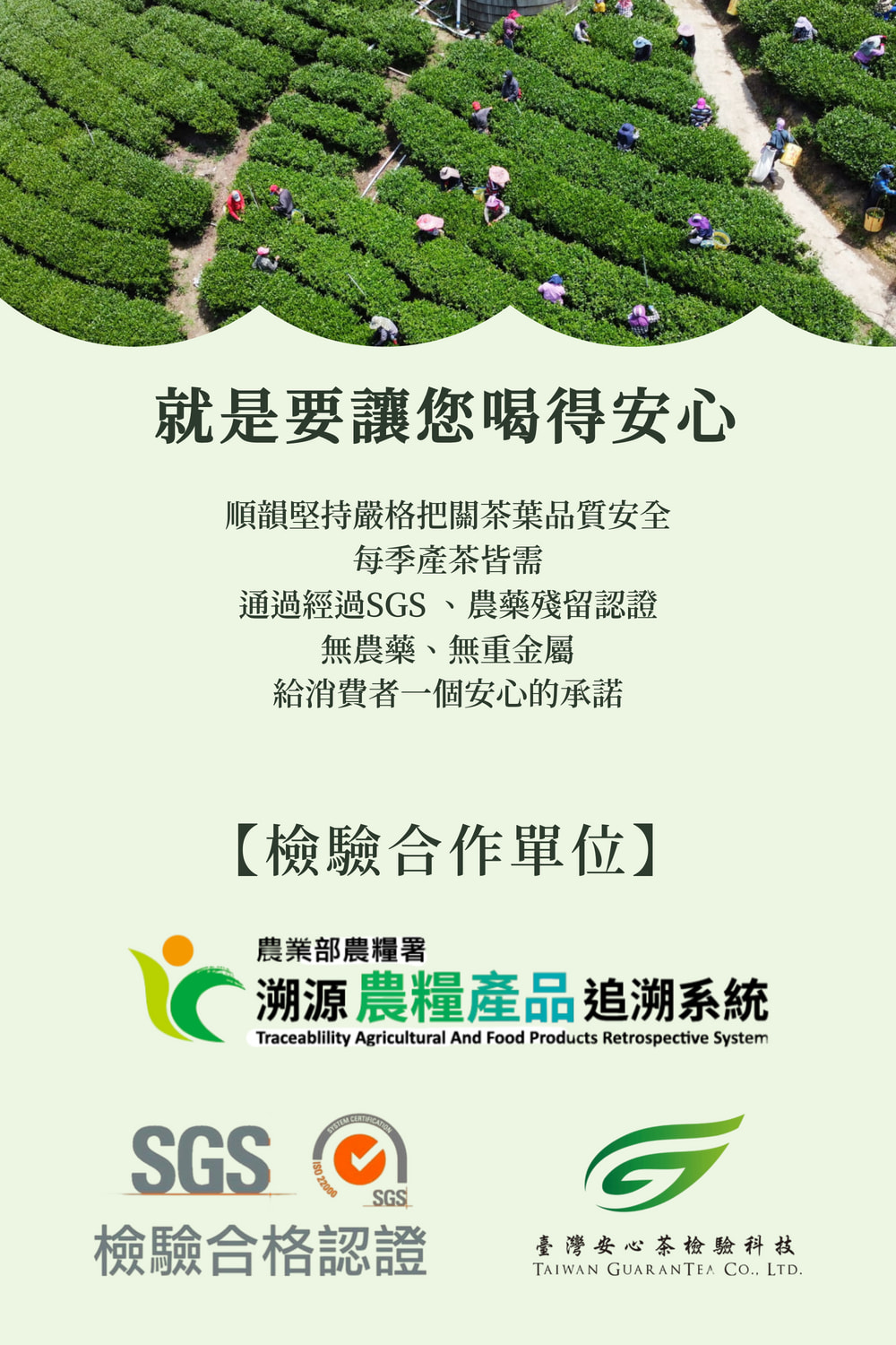 順韻堅持嚴格把關茶葉品質安全