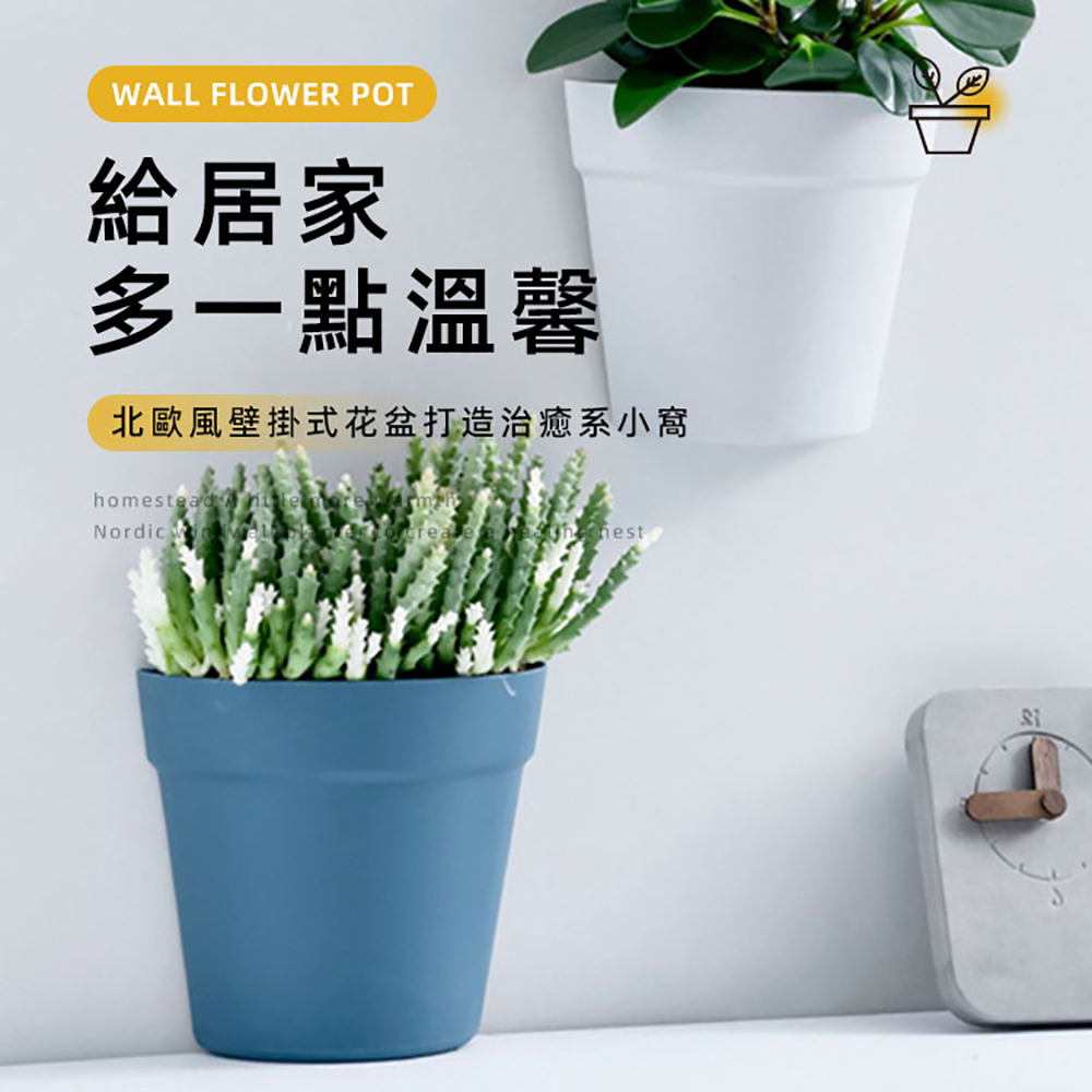 給居家 多一點溫馨 北歐風壁掛式花盆打造治癒系小窩 