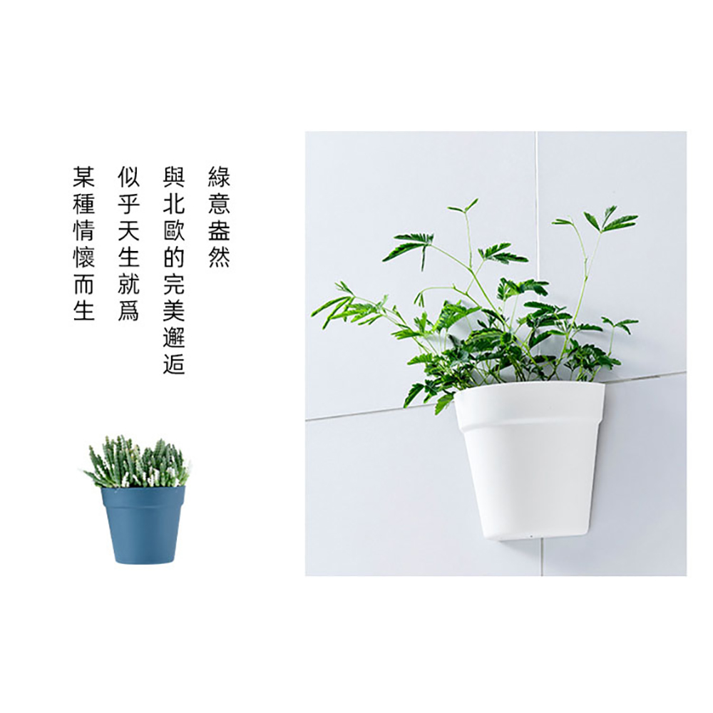 綠意盎然 與北歐的完美邂逅 似乎天生就 某種情懷而生 