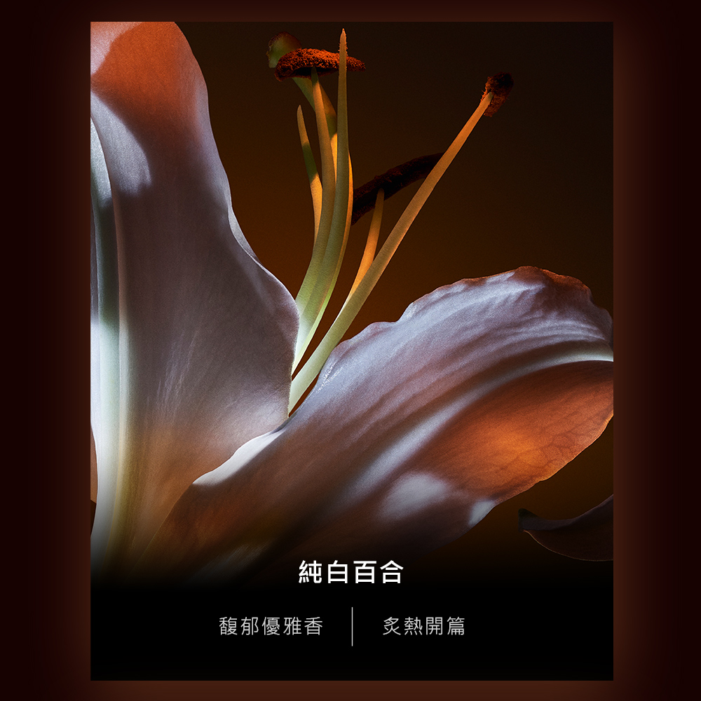 純白百合 馥郁優雅香 炙熱開篇 