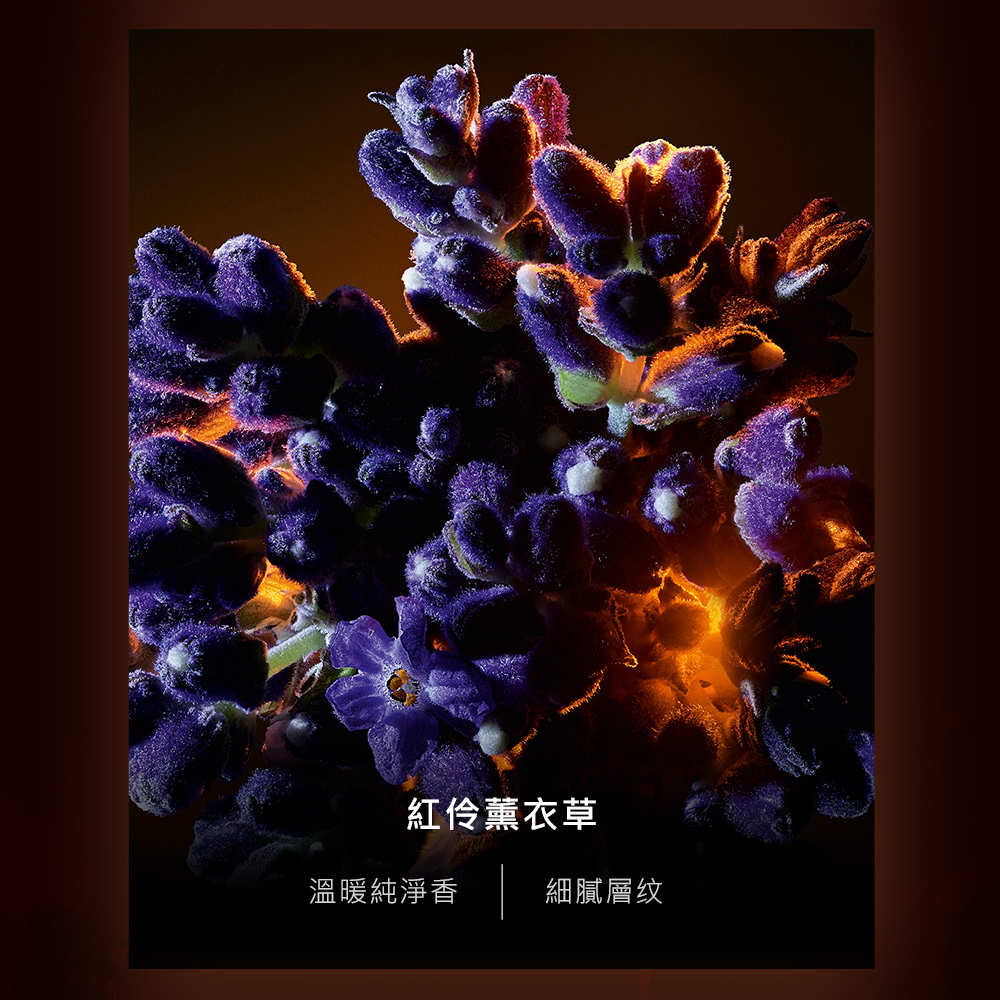 紅伶薰衣草 溫暖純淨香 細膩層纹 
