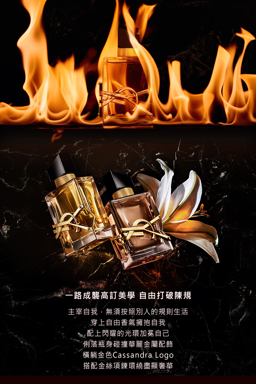 橫躺金色Cassandra Logo