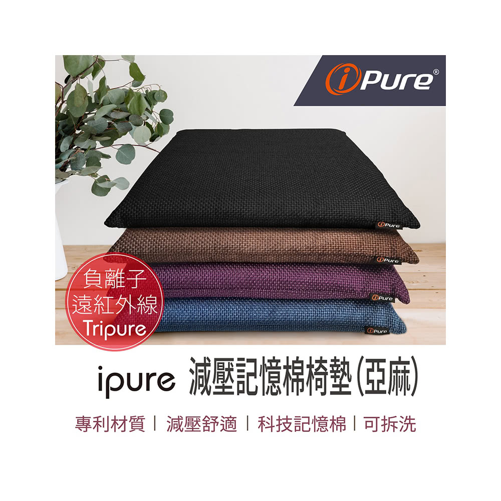 iPure 減壓美姿護脊腰墊組 原廠公司貨優惠推薦