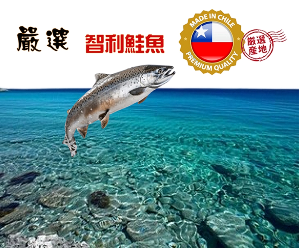 海之醇 優質無肚洞鮭魚厚切-8片組(200-250g/片)品