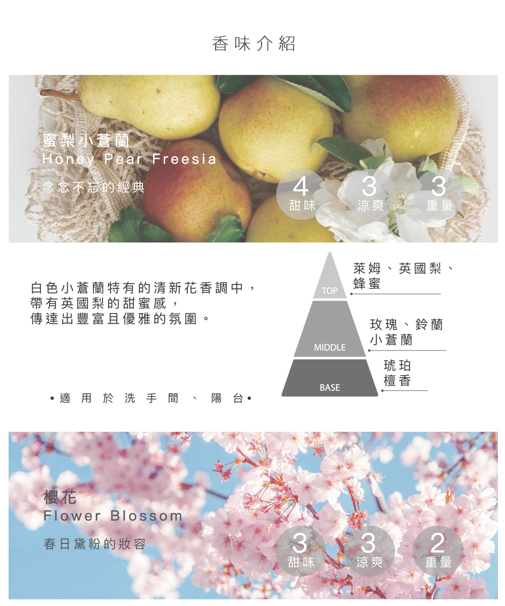 白色小蒼蘭特有的清新花香調中,