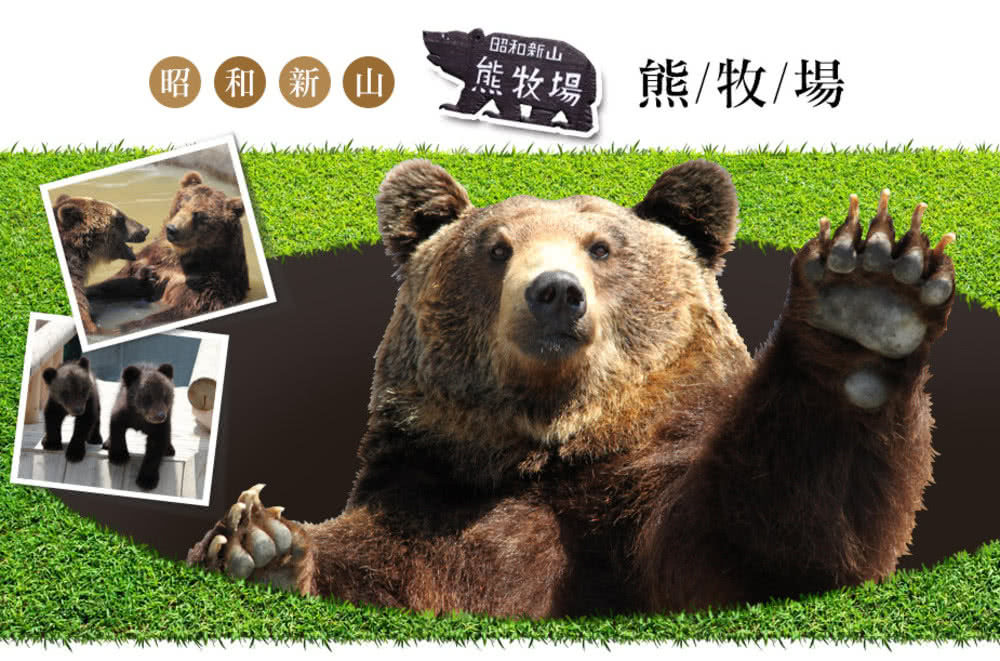 喜鴻假期 【星宇超值櫻百選北海道５日】星型櫻花公園、函館夜景