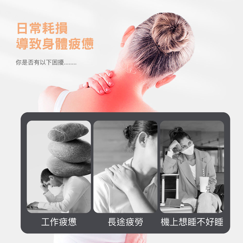 DESMOND 岱思夢 買1送1 動物造型U型護頸枕(記憶棉