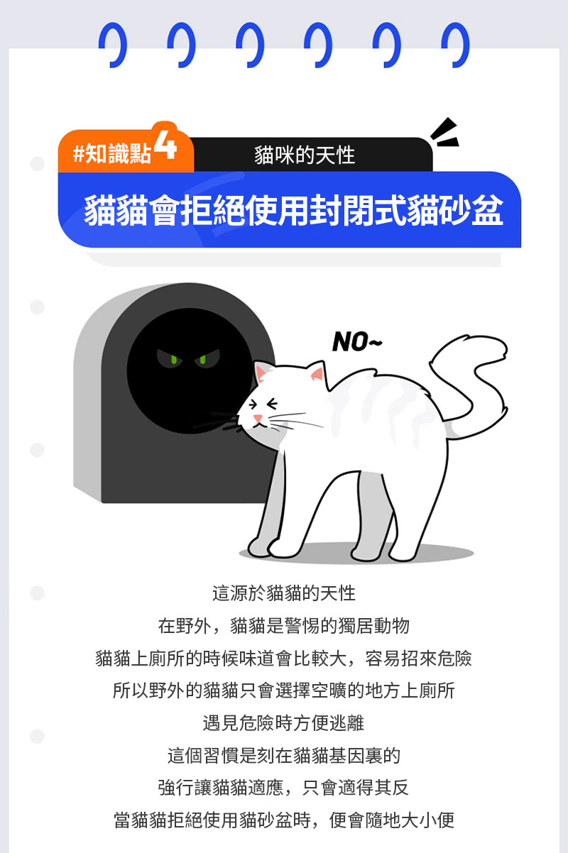 貓貓上廁所的時候味道會比較大,容易招來危險