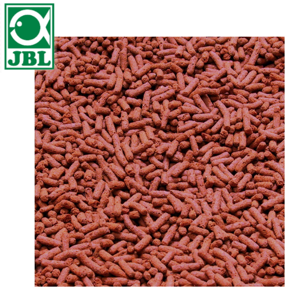 JBL 珍寶 龍魚增豔主食L 5.5L Novo DRAGO