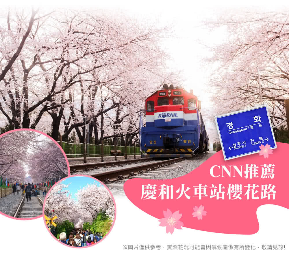 喜鴻假期 【不進人蔘保肝．釜山鎮海賞櫻５日】慶州古都賞櫻、天