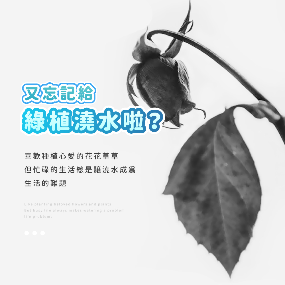 又忘記給 綠植澆水啦 喜歡種植心愛的花花草草 但忙碌的生活總是讓澆水成爲 生活的難題 