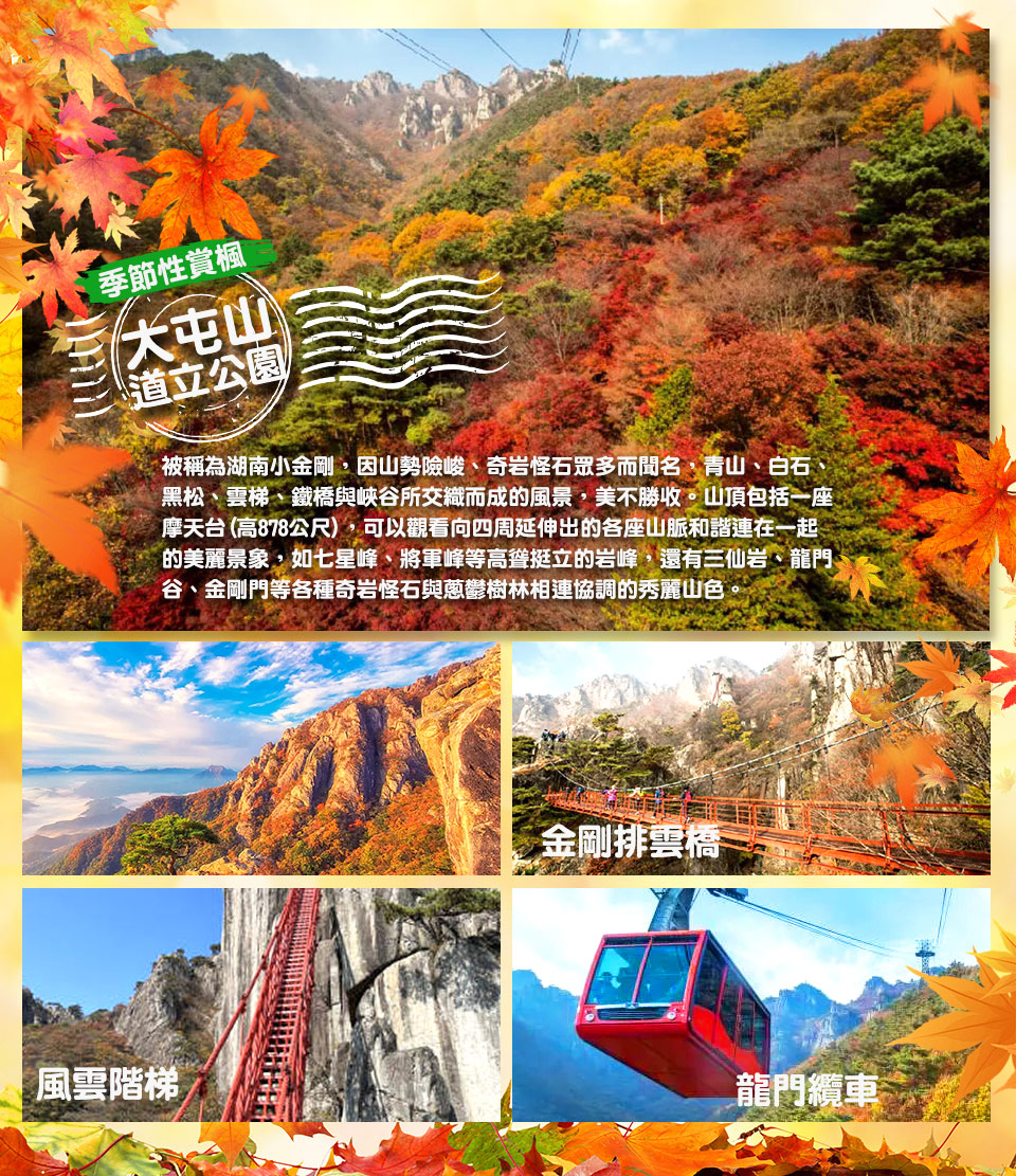 11月秋季賞楓↘ 清易賞楓趣-大屯山、內藏山、金井山城、龍蝦