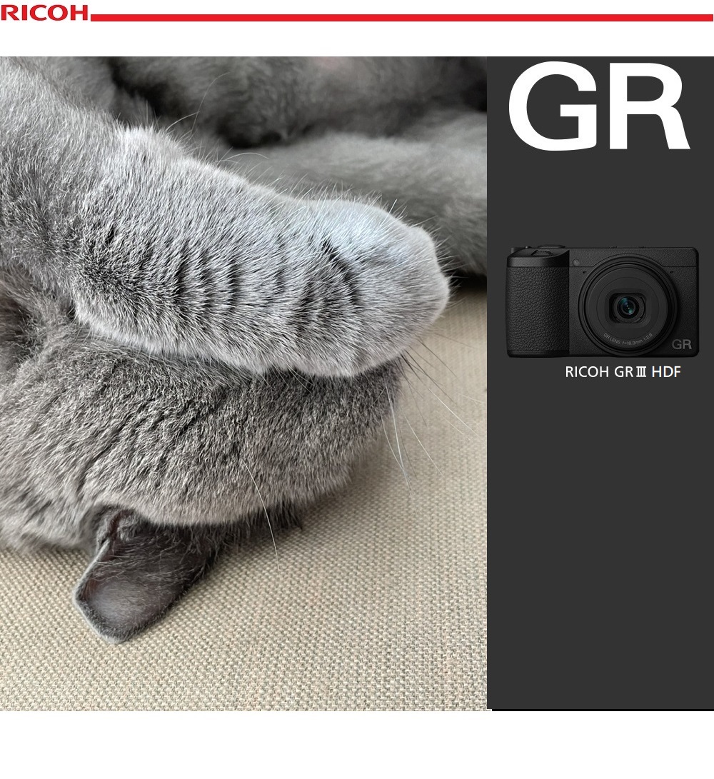 RICOH GRIII GR3 HDF 標準版數位相機(平行