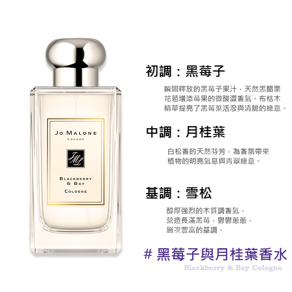 精華提亮了黑莓葉活潑與清脆的綠意。