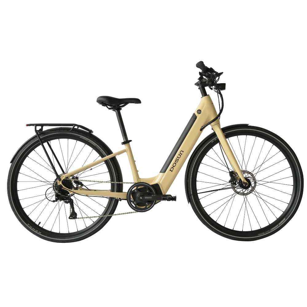 DOSUN CTPRO 電輔車/電助車好評推薦