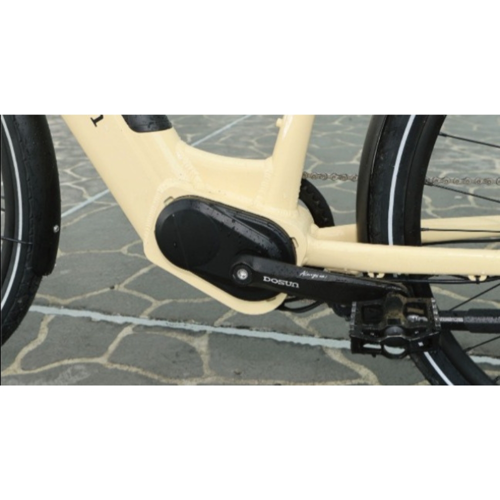 DOSUN CTPRO 電輔車/電助車好評推薦