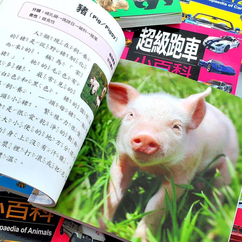 【iBezT】動物王國小百科(全套6冊滿足孩子好奇心)優惠推