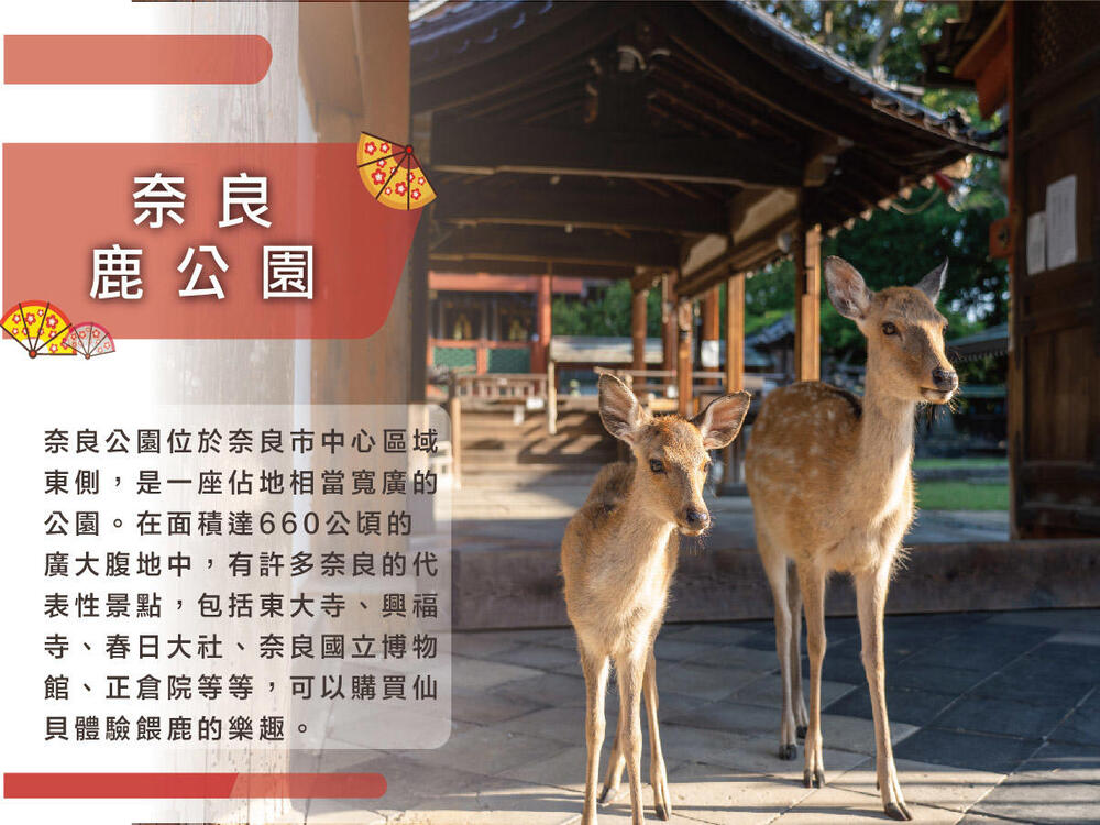 吉航旅遊 精緻假期京阪神泡湯六甲山玩雪嵐山渡月橋清水寺螃蟹海