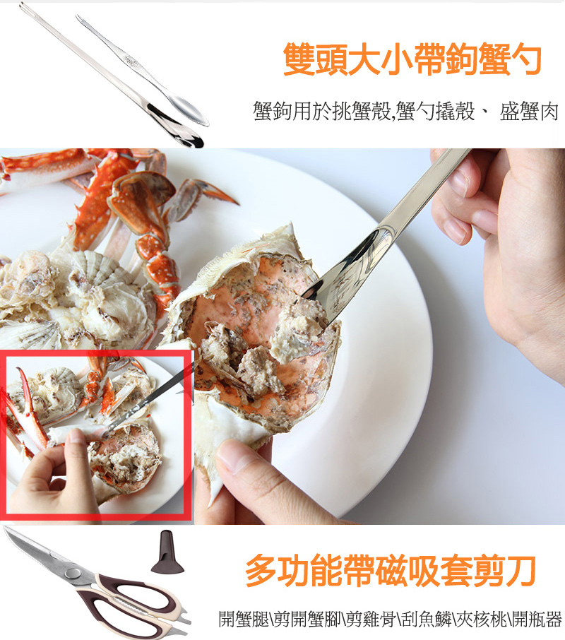 éé ­å¤§å°å¸¶é¤è¹åº è¹é¤ç¨æ¼æè¹æ®¼è¹åºæ¬æ®¼ãçè¹è å¤åè½å¸¶ç£å¸å¥åªå éè¹è¿åªéè¹è³åªééª¨å®é­é±å¤¾æ ¸æ¡éç¶å¨ 