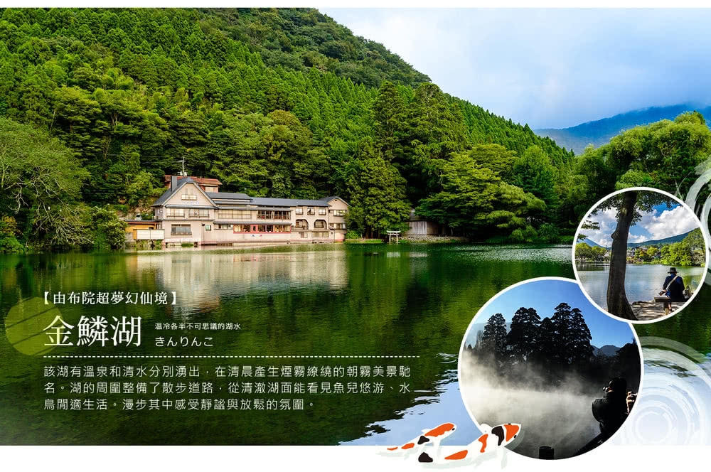 喜鴻假期 【高雄出發．九州親子探險泡湯５日】動物園叢林巴士、