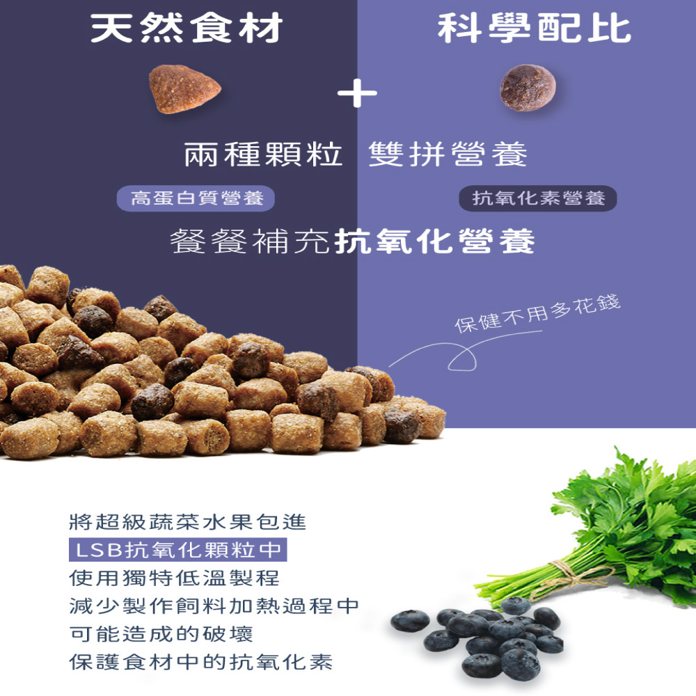 Blue Buffalo 藍饌 原野精靈幼貓糧 去骨雞肉無穀