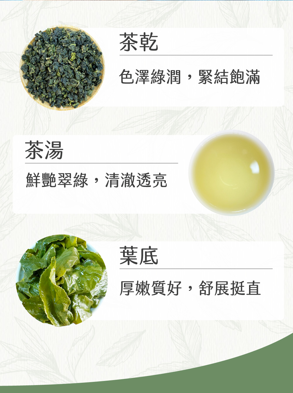 色澤綠潤,緊結飽滿