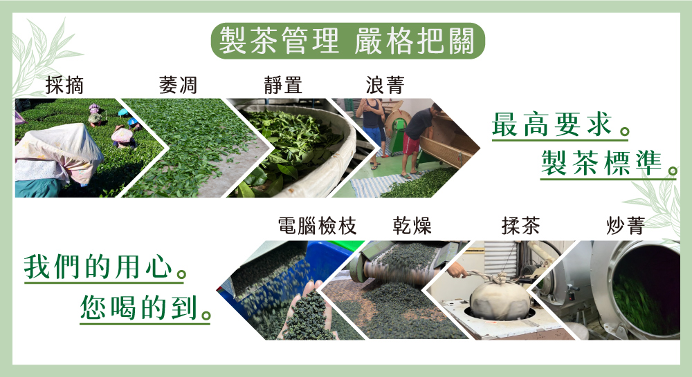 製茶管理 嚴格把關