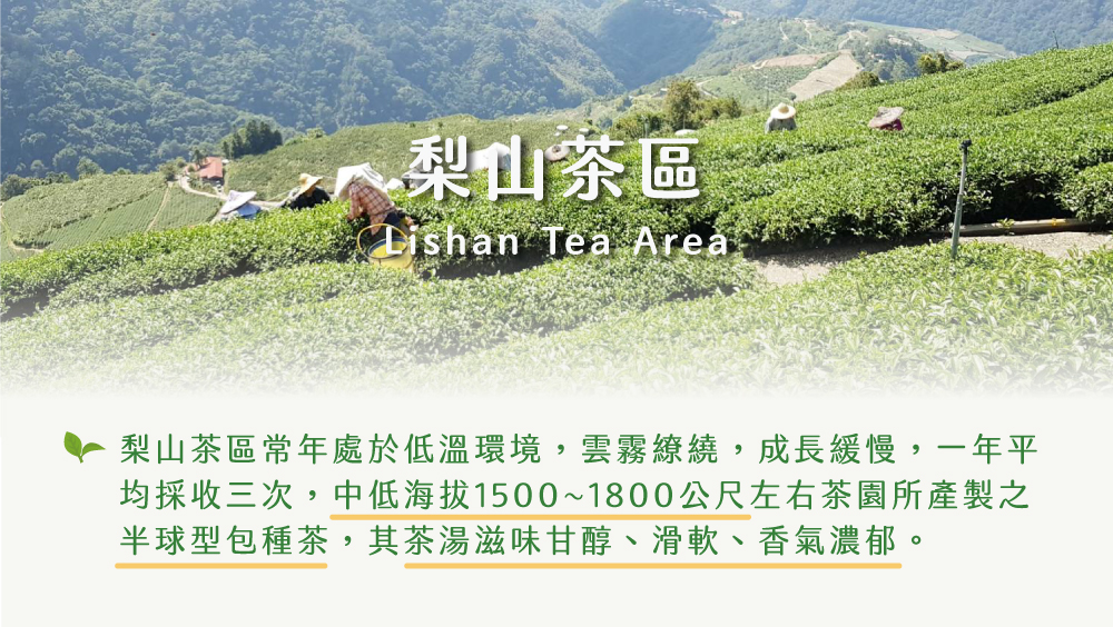 三、梨山茶區 梨山茶區常年處於低溫環境,雲霧繚繞,成長緩慢,一年平 均採收三次,中低海拔15001800公尺左右茶園所產製之 半球型包種茶,其茶湯滋味甘醇、滑軟、香氣濃郁。 