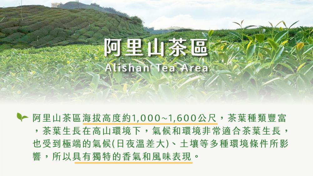阿里山茶區 阿里山茶區海拔高度約1,0001,600公尺,茶葉種類豐富 茶葉生長在高山環境下,氣候和環境非常適合茶葉生長, 也受到極端的氣候日夜溫差大、土壤等多種環境條件所影 響,所以具有獨特的香氣和風味表現。 