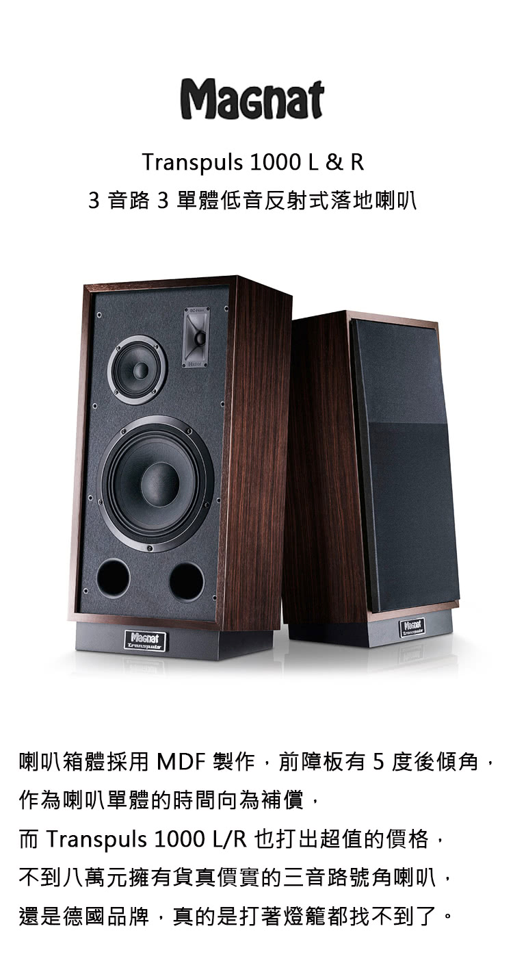 Magnat Transpuls 1000 - 詳情8