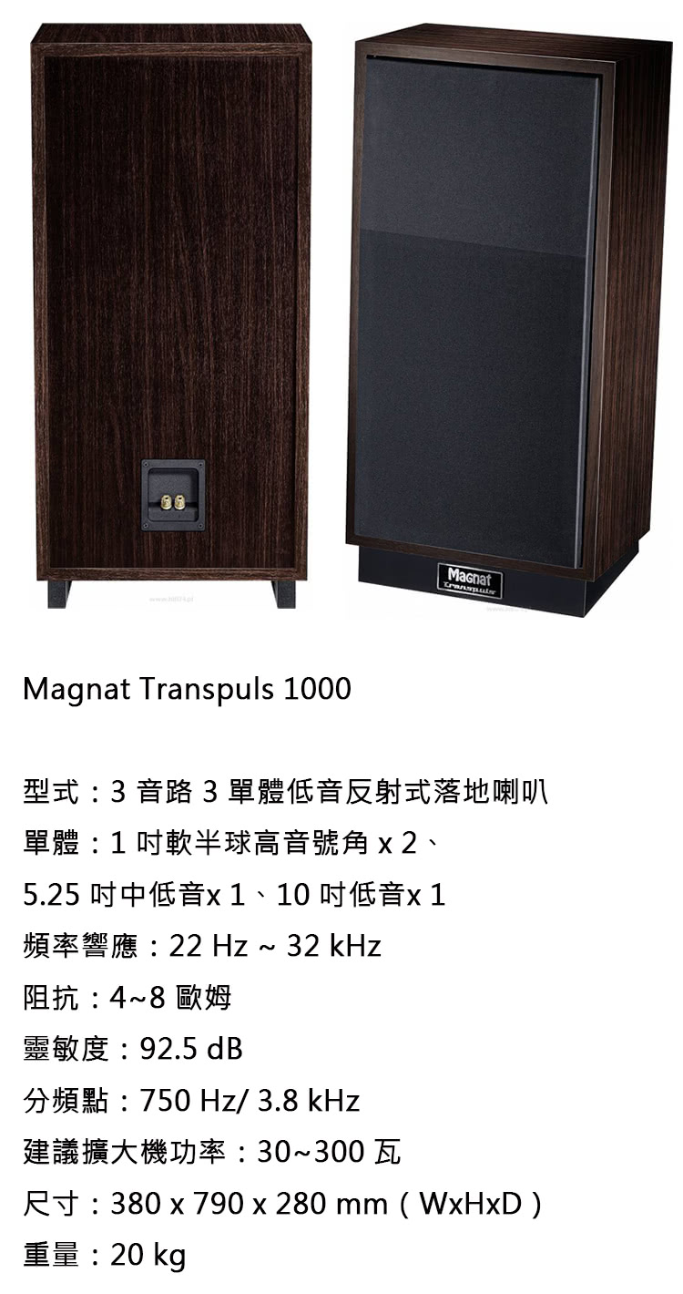 Magnat Transpuls 1000 - 詳情9