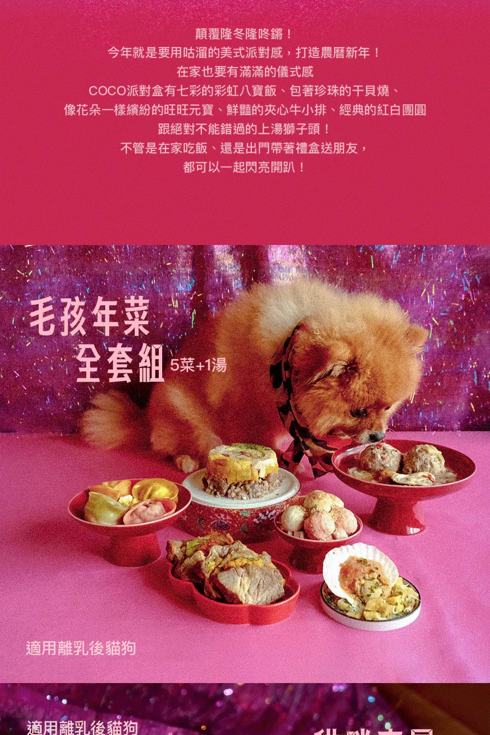 COCONILLA 口口迷 手工寵物年菜-全套6件組禮盒-2 COCONILLA 口口迷 手工寵物年菜-全套6件組禮盒-2